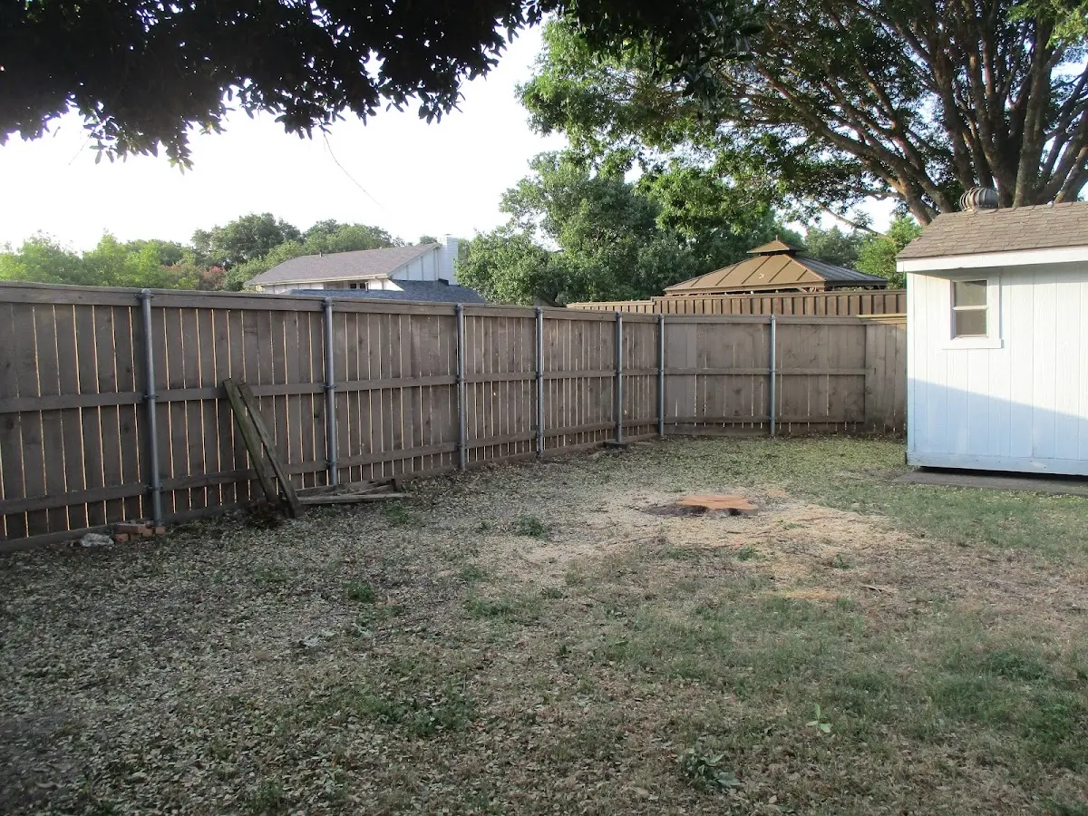 Cleared yard after professional tree removal in Woodhull